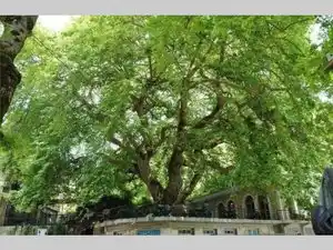 Sarande - Libohove - Labove e Kryqit